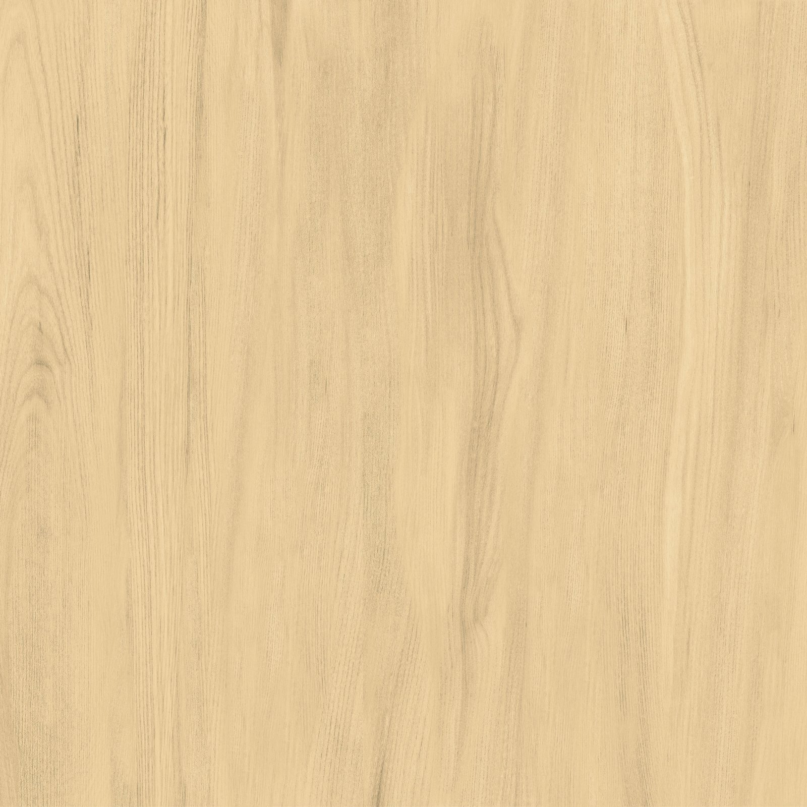 PLATINUM 80X80 PALERMO CREAM